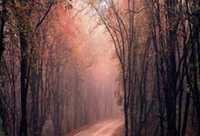 意大利职业足球联赛势如破竹