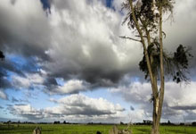 篮网队主力球员新增伤病情报