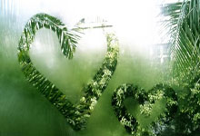 詹姆斯生涯回顾，超级巨星的辉煌经历