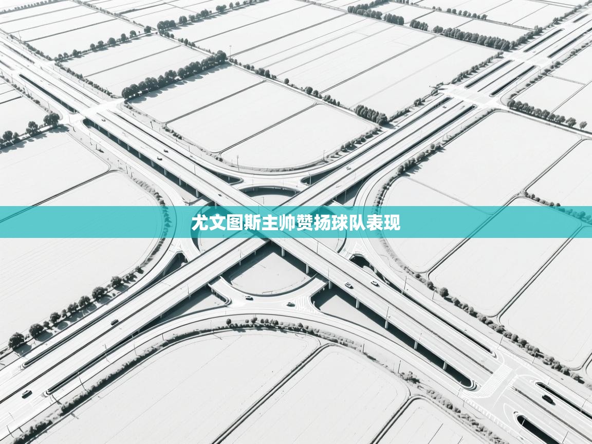 尤文图斯主帅赞扬球队表现